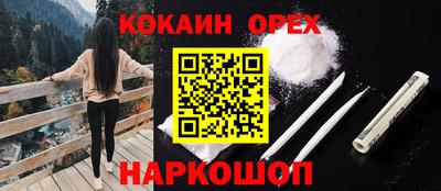 твердый Гусев