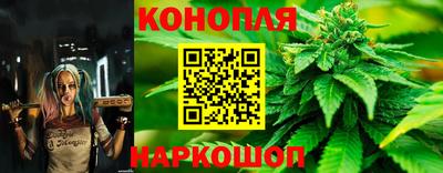 твердый Гусев